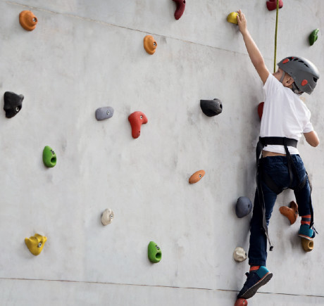 Rock Climbing Wall