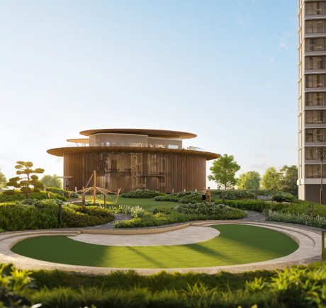 Social Lawn & Amphitheatre