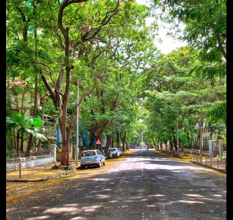 Dadar Parsi Colony