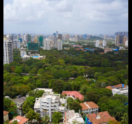 View From Yazarina III